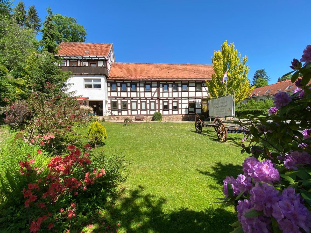 Hotel Pension Gelpkes Muehle Bad Sachsa Eksteriør billede